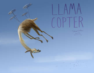 LLAMACOPTER