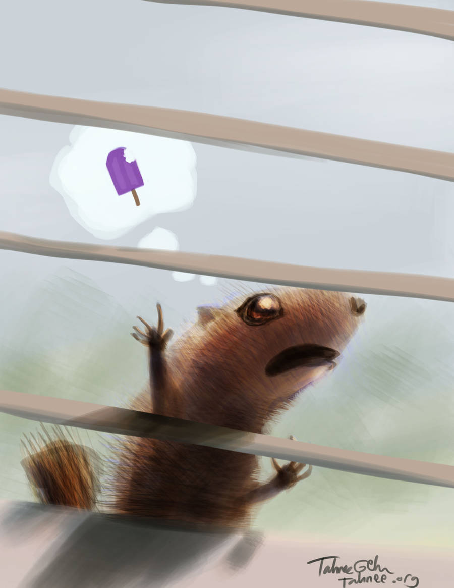 Window Squirrel by e-tahn