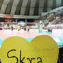 Skra Belchatow