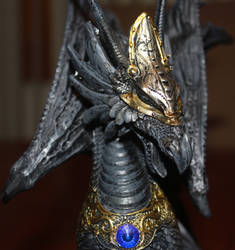 Black Dragon Close Up