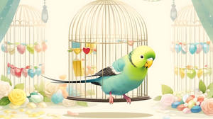 Small Parakeet (1)