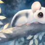 Bright Eyed Sugar Glider (1)