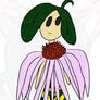 Echinacea Plant