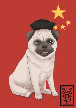 Chinese Pug