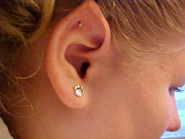 pics Elf Ear Piercing Drawing pierced elf ear by imerald on deviantart