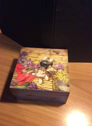 box with cats