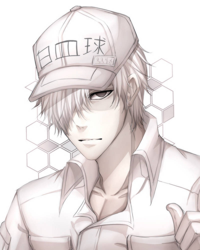 White Blood Cell - Cells At Work! by souzaclucas on DeviantArt