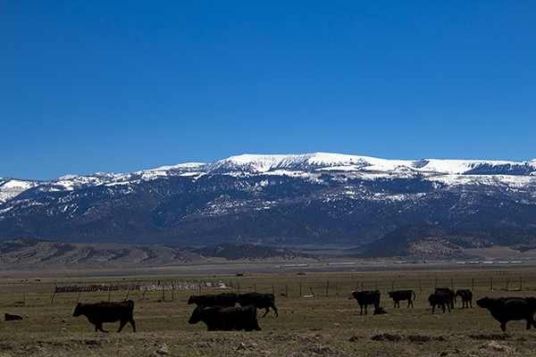 Horseshoe Mountain in April (2)