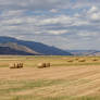 Field of Hay Bales Redux