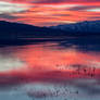 Sunset at Utah Lake (5)