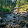 Fallen Log Over a Mountain Stream