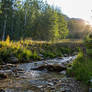 Mountain Stream at Sunrise