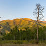 Payson Canyon