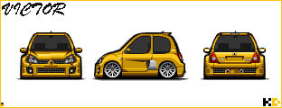 Renault Clio V6 Stock