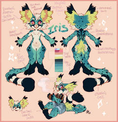 2023 Iris Re-design