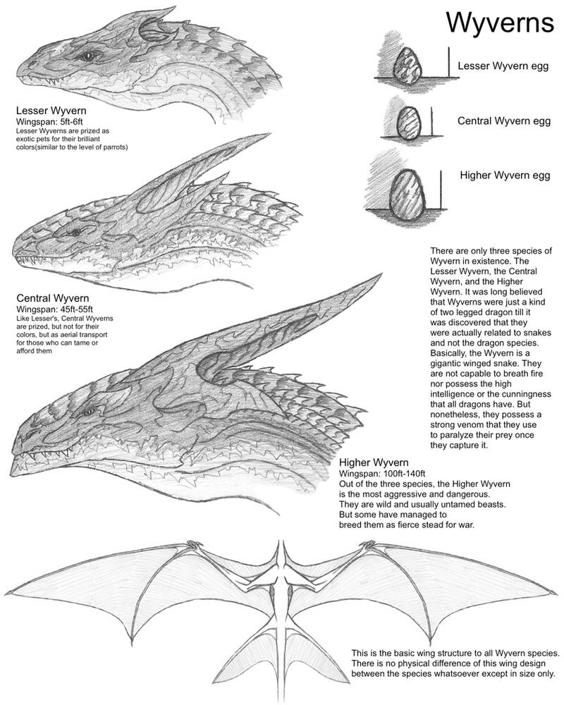 Wyverns by ProjectWarSword on DeviantArt