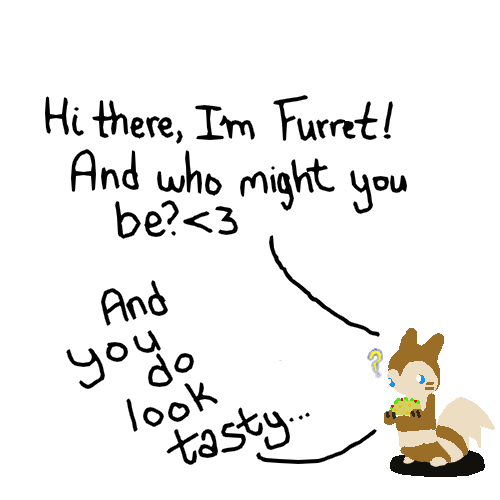 Furret Meets Taco