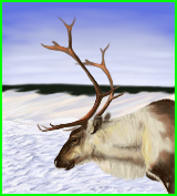 Reindeer WIP Preview