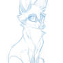 Bat Eared Fox sketch