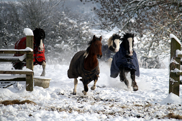 Fun in the Snow