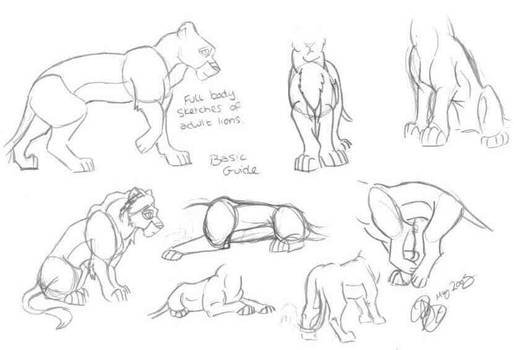 Guide2drawing TLK lion bodies