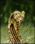 King Cheetah by ArtistMaz