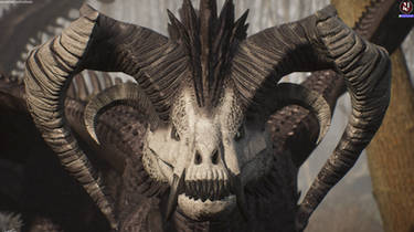 A predator's eye