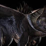 Black Dragon DnD 2