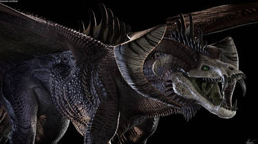 Black Dragon DnD 2