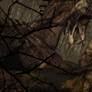 Meeting with the Master of the Swamps. (Part 2)