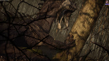 Meeting with the Master of the Swamps. (Part 2)