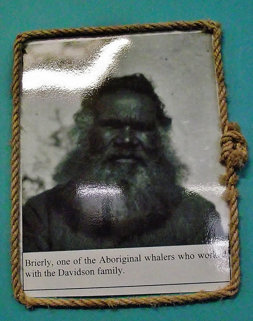 Aboriginal Whaler