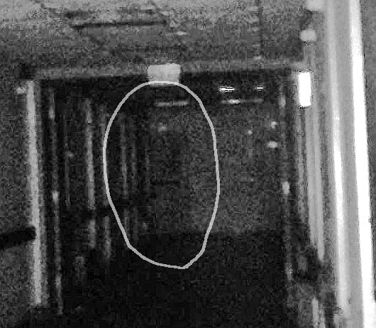 Possible real apparition