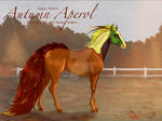 87 Autumn Aperol