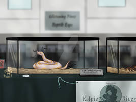 Our First Expo! (Cici show entry)