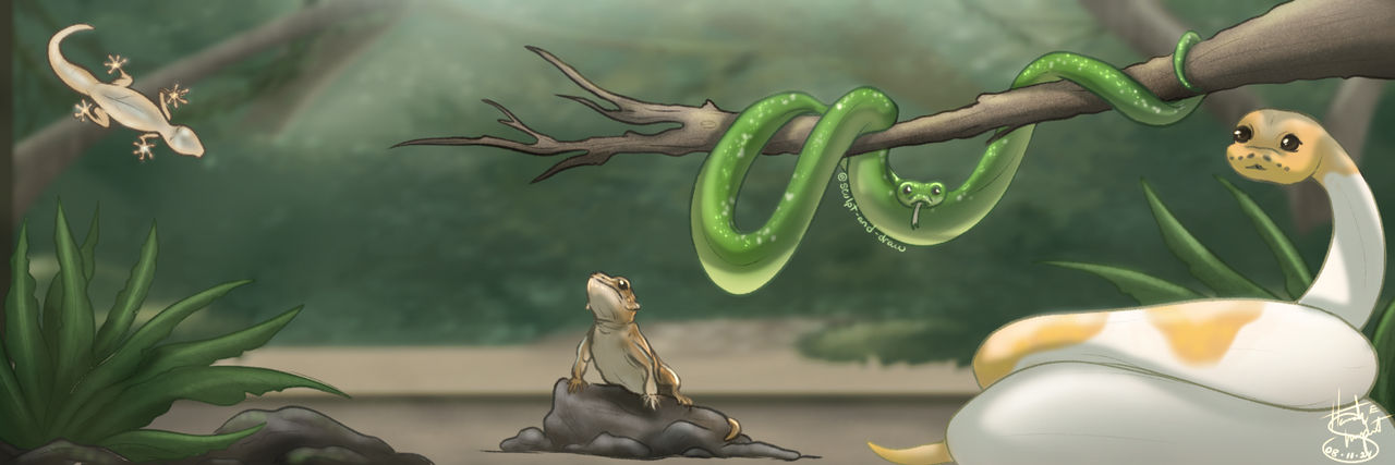 RARPG Banner
