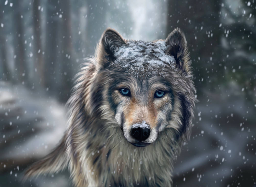 Wolf by ellieshepart on DeviantArt