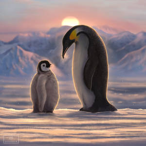Penguins