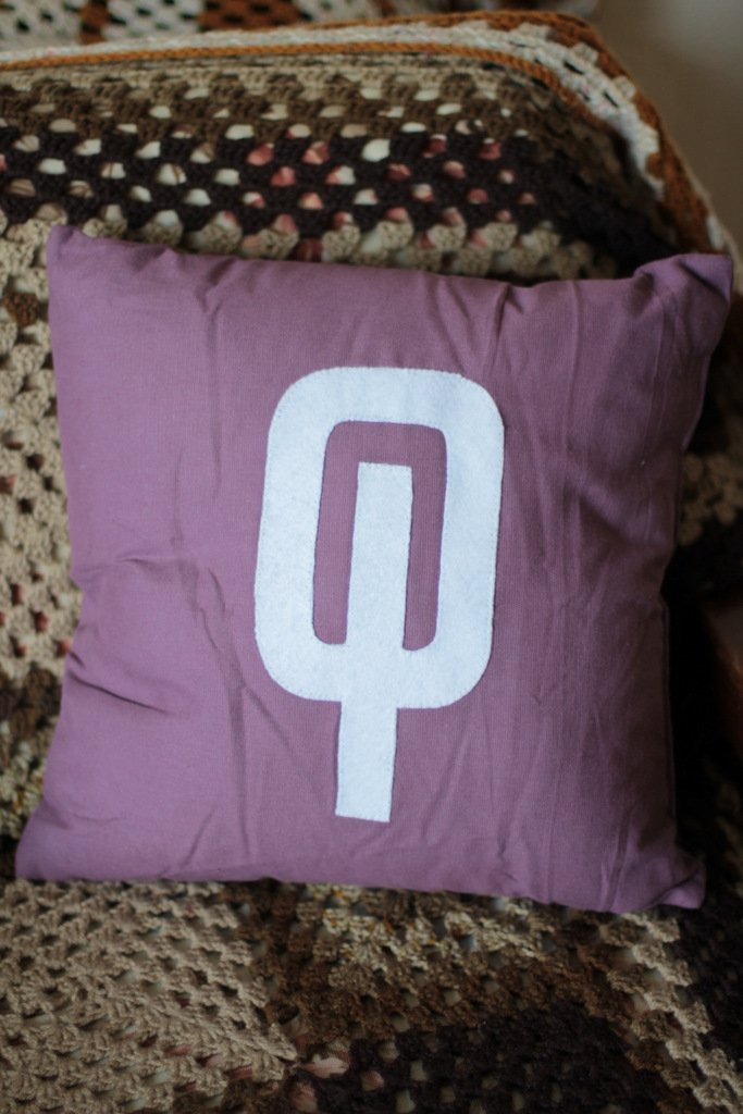 Customised Omega/ Aria Cushion