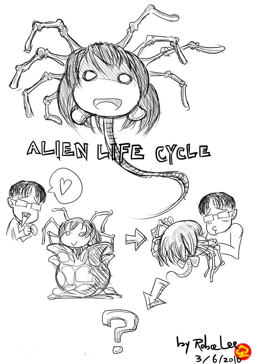 Life Cycle of an Anime Fan 