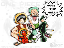 The meeting-One Piece