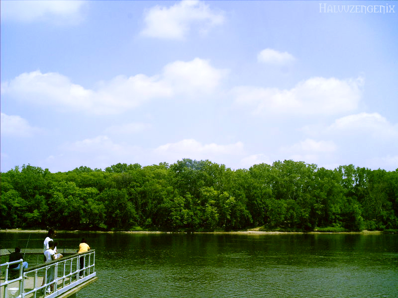 Mississippi Docks