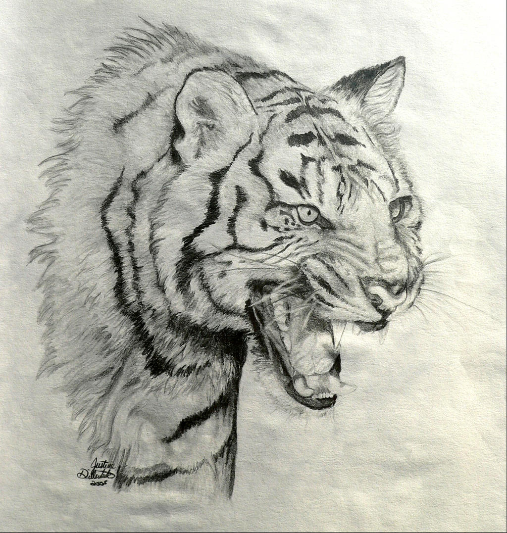 Roaring Tiger