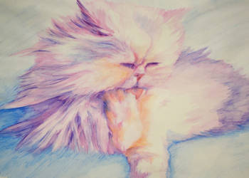 Persian Cat - Inktense Watercolours