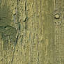 Green painted Wood 2