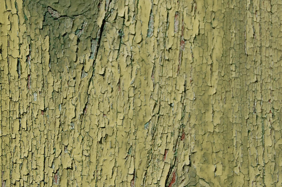 Green painted Wood 2