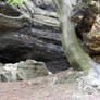 Rocks and Trees