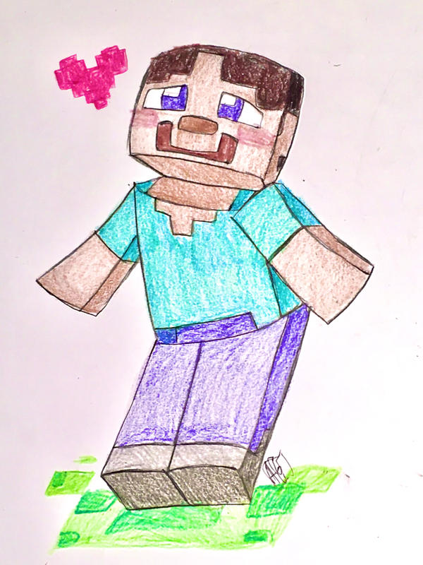 Steve Minecraft by Artfrog75 on DeviantArt