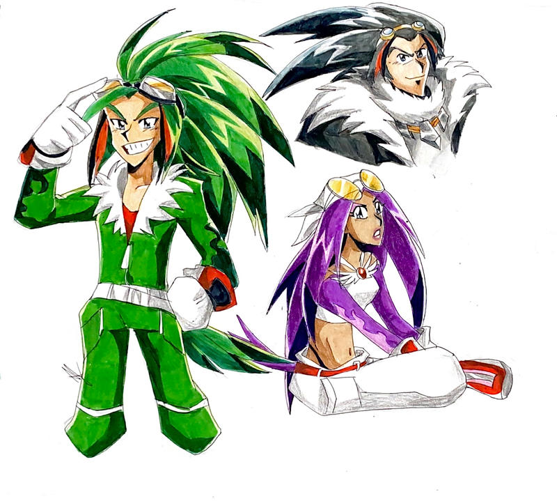 Babylon Rouges From Sonic Babylon Rogues Sonic by Artfrog75 on DeviantArt