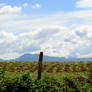 Lonely road, great view